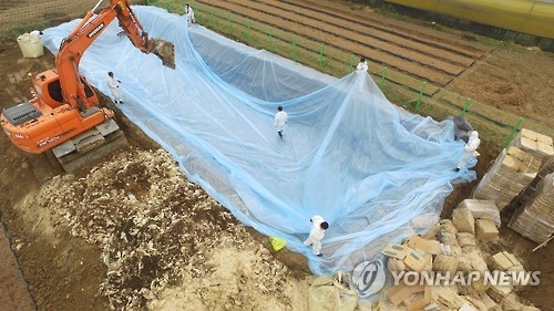 "매년 AI 살처분 보상금 수천억원…겨울엔 닭·오리사육 말자" - 2
