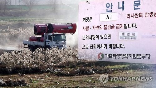 진천·천안도 뚫렸다…사활건 방역 속수무책, AI 확산 지속 - 1