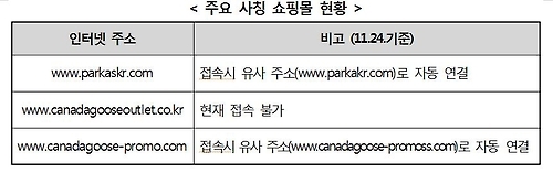 '블프' 앞두고 고가 패딩 캐나다구스 사칭 쇼핑몰 기승 - 1