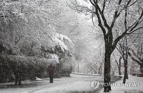 수원 지역 눈