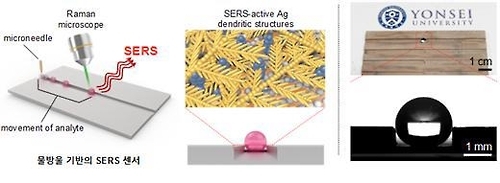 초소수성 표면증강라만분광법(SERS) 센서 개념도