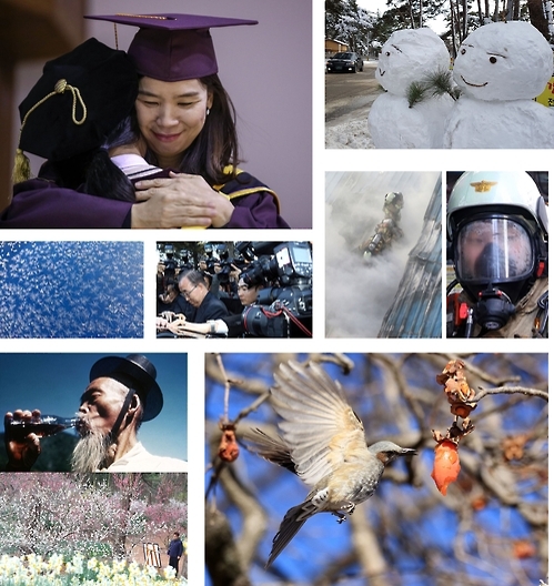 이번 주의 사진 (1.31~2.3)