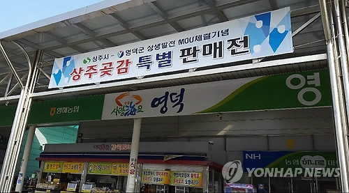 청탁금지법 무색게 한 상주곶감…고가선물 대체상품으로 - 2