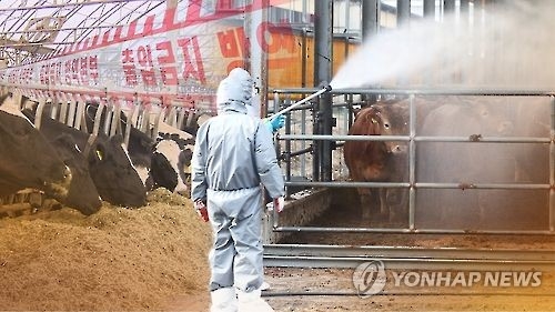 안전처, 구제역·AI 방역에 특교세 60억원 지원 - 1