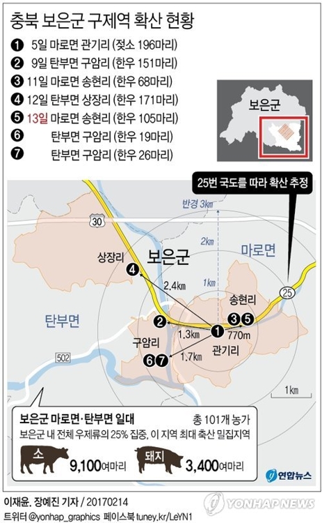 구제역 '진앙' 충북 보은 사흘째 잠잠…긴장감은 여전 - 2
