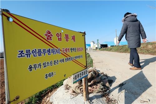 출입통제하는 전남 해남군 축산농가