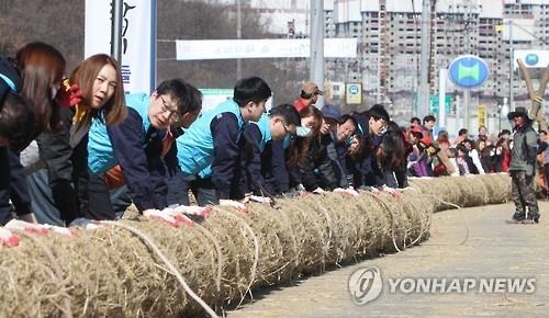 기지시줄다리기 큰줄 제작