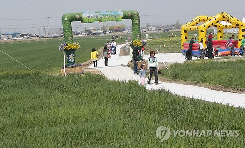 군산 꽁당보리축제장