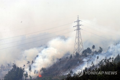 삼척 산불