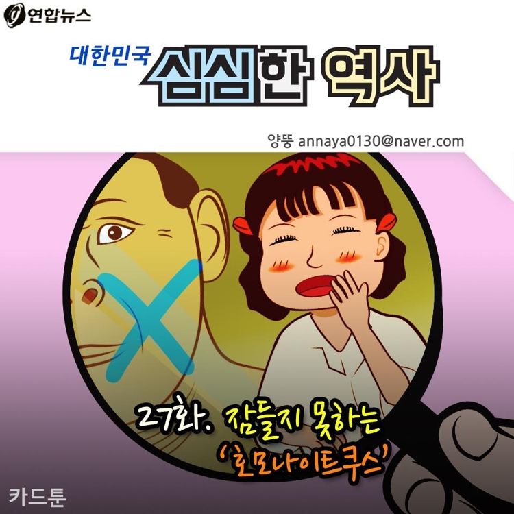 [카드툰] 잠들지 못하는 '호모나이트쿠스' - 대한민국 심심한 역사 - 1
