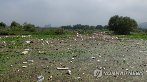 녹조 낀 낙동강