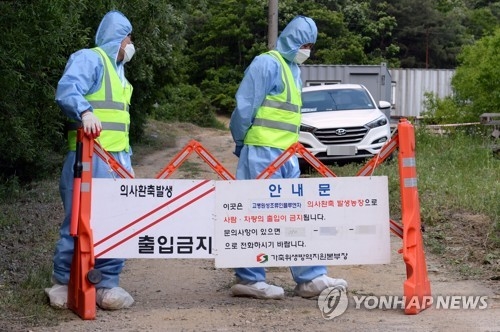 AI 발생한 군산 종계 농가
