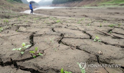 반가운 단비…해갈은 역부족