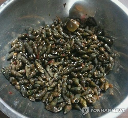 충북 괴산서 다슬기 채취하던 70대 익사 - 1