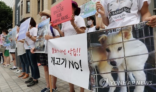 개고기 식용 반대 집회 (연합뉴스 자료 사진)