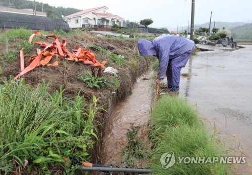 26일 오후 소나기가 내린 충남 서산시 팔봉면 대황리에서 한 농부가 물이 흘러넘치는 도랑에서 물길을 내고 있다.