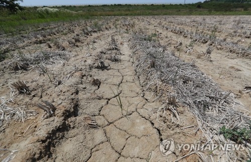 가뭄