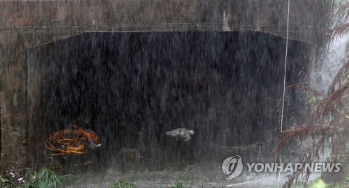 사고 현장