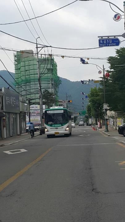 한적한 영양읍내 도로