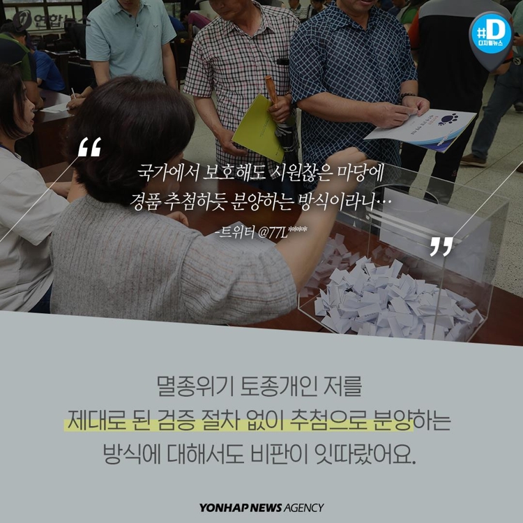 [카드뉴스] "국내 멸종 위기 강아지 단돈 5만원에 팝니다" - 6