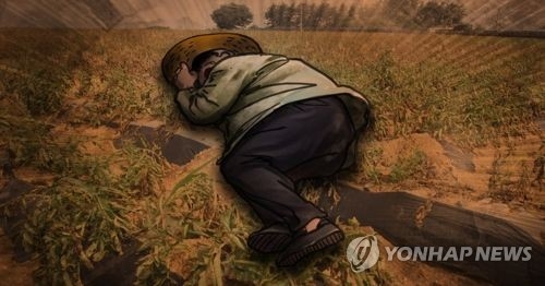 폭염 속 밭일하던 노인 사망(PG)