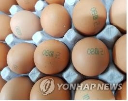 (남양주=연합뉴스) 살충제 피프로닐이 검출된 경기 남양주의 '마리농장'에서 나온 계란 껍데기에는 '08마리'라는 생산자명이 찍혀 있다. 2017.8.18 [연합뉴스 자료사진]