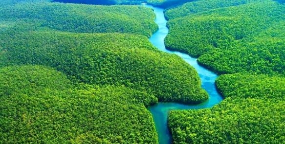 브라질에서 아마존 열대우림 개발 문제를 둘러싸고 또다시 논란이 가열하고 있다. [브라질 뉴스포털 UOL]