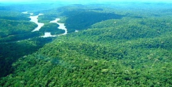 '지구의 허파'로 불리는 아마존 열대우림. 브라질에서 열대우림의 광산을 개발하는 문제를 놓고 논란이 벌어지고 있다. [브라질 뉴스포털 UOL]