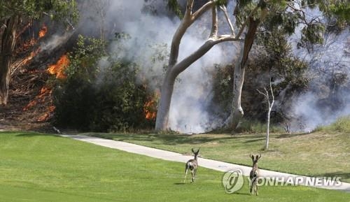 LA 북부 산불