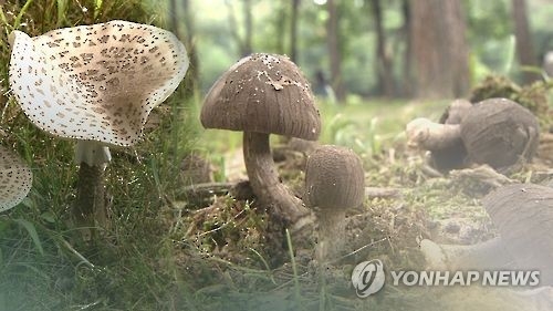 이 사진은 기사와 직접적인 관련이 없습니다.