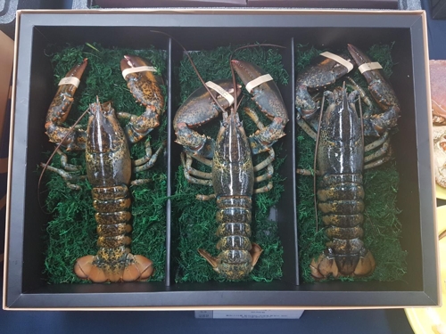 랍스터 선물세트