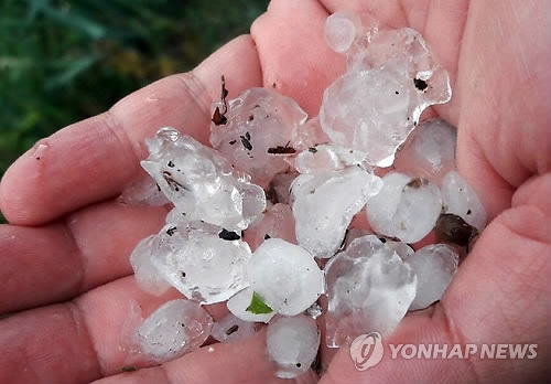 동면지역에 내린 우박