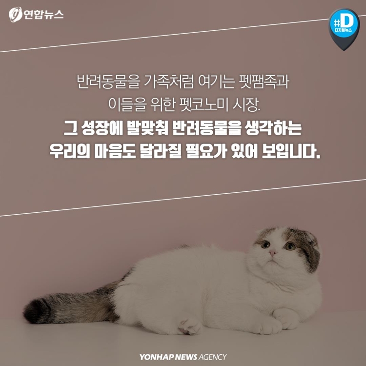 [카드뉴스] "가족이라면서요?"…유기동물 9만마리 육박 - 12