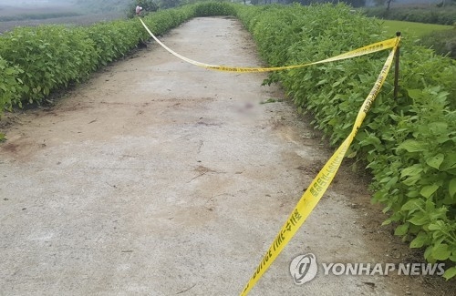 애 돌봐주던 가족같은 이웃…화 참지 못해 비극적 종말 - 2