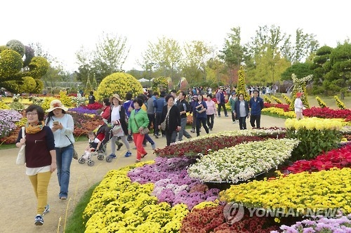 국화로 물든 순천만국가정원