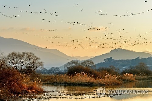 화포천 저녁노을