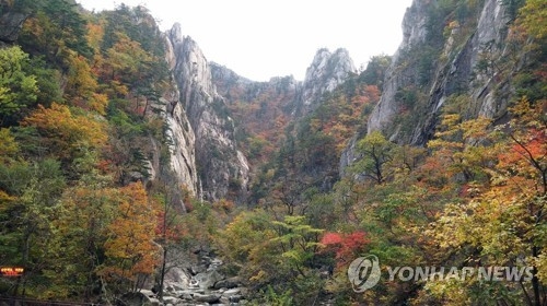 '단풍 절정' 설악산 주말 8만여명 몰려…한계령 등 정체 극심 - 2