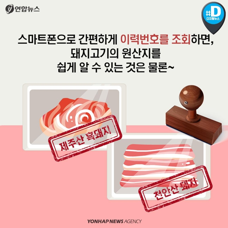 [카드뉴스] 제주산 vs 육지산 구별법… 육지 돼지, 웰컴 투 제주 - 9