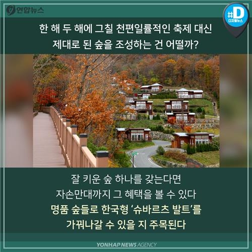 [카드뉴스] 새해맞이 나들이 '숲속의 전남' 어떨까요? - 13