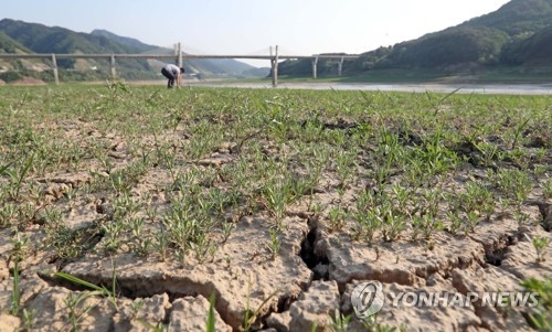 지난해 6월 소양강 가뭄 현장[연합뉴스 자료사진]