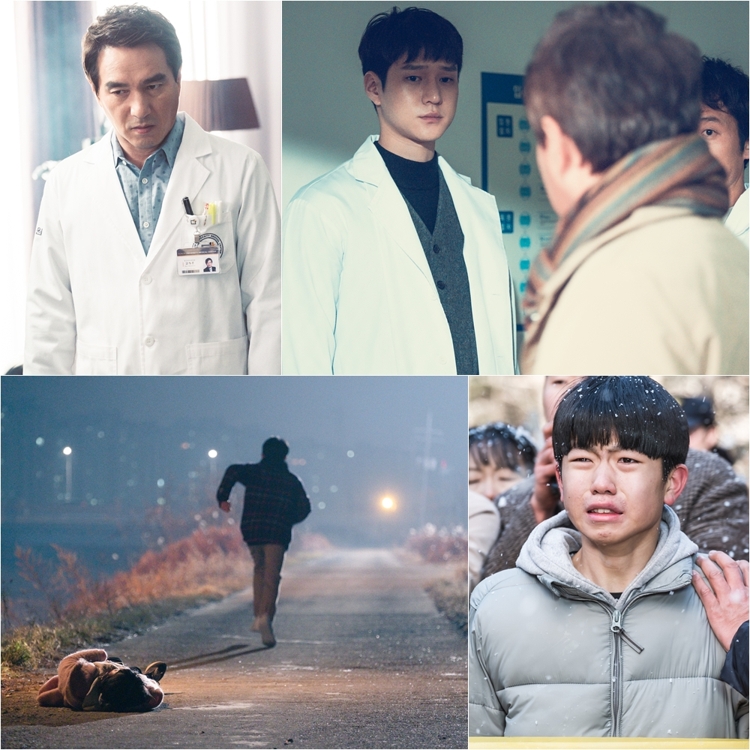 살의를 품은 천재의사의 이야기…고경표·조재현의 '크로스' - 3