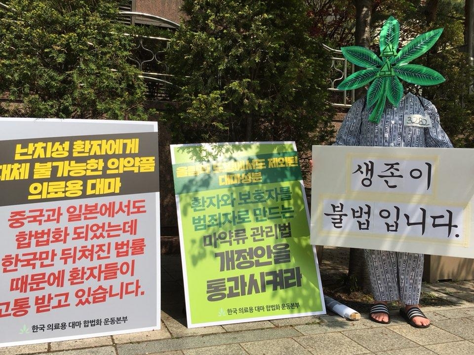 "의료용 대마 합법화하라"
