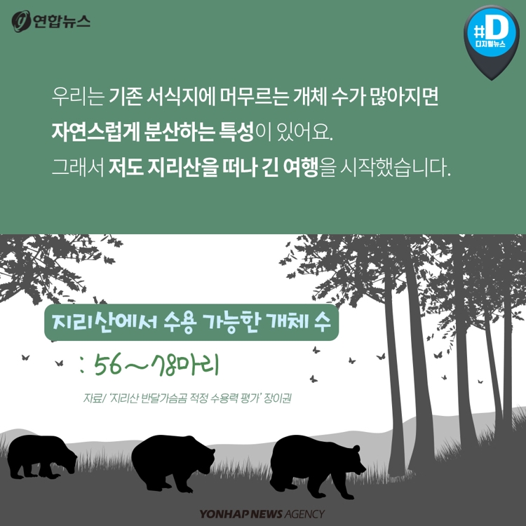 [카드뉴스] 지리산에서 세 번 도망친 반달가슴곰 이야기 - 5