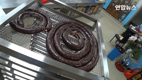 북한식 찹쌀 순대