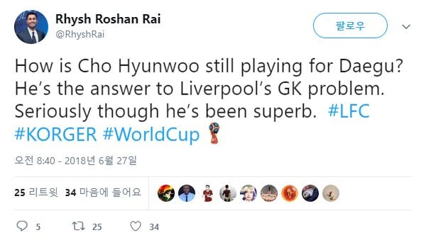 [월드컵] "맨유·리버풀, 조현우 데려와라"…트위터서 아우성 - 4