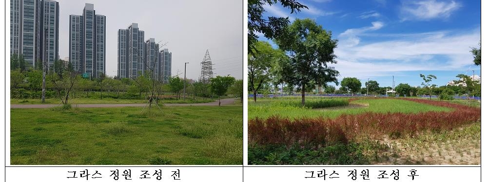 잠원한강공원에 색색 풀의 향연…'그라스정원' 보러오세요 - 1