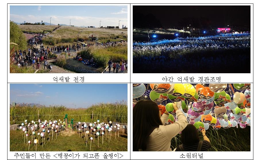 서울억새축제