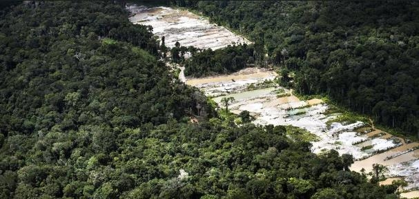 광산개발을 위해 벌목된 아마존 열대우림 [브라질 일간지 글로부]
