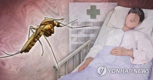 가을 모기 집안선 여전히 극성…11월 말까지 조심해야 - 2