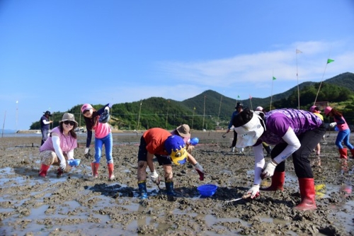 갯벌 체험